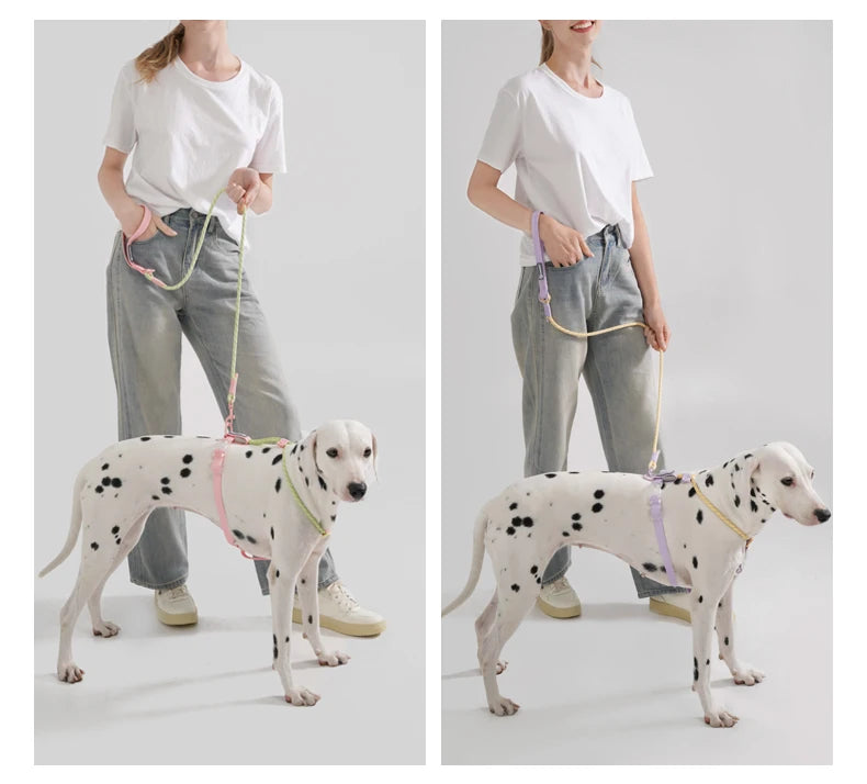 Waopet - Leiband - Sugar Sweet